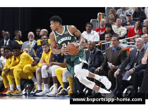 NBA水爷：探寻职业篮球赛场上的谜团